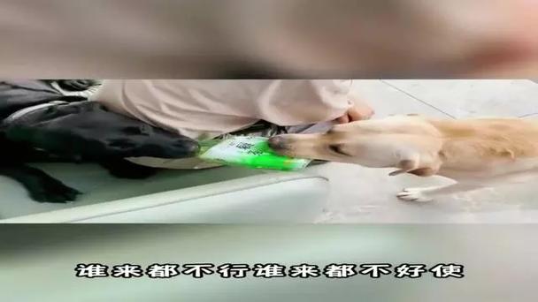 2025年4月 第11页